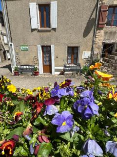 Gîte les tilleuls - 0