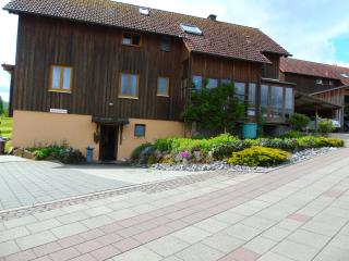 Ferienwohnung Csilla 2 - Oberweid - 8