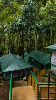 A4 resort & Homestay - 1
