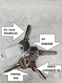 Résidence Romains - 0G - hébergements classés avec garage - Strasburgo - 4