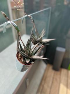 BORA Residence - 5