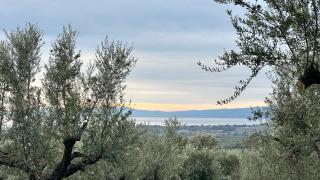 The secret garden by villa Georgia Kalamata - 1