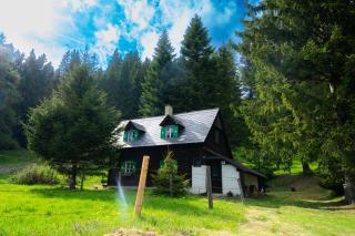Almhütte am Steirischen Seeberg - Turnau - 0