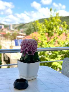 TreA Accomodations - Suite Lungomare - 7