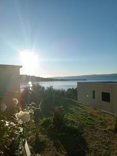 Cesarica - 1