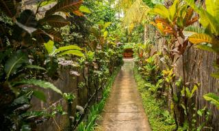 Villa Sayang Bunga Ubud - 4