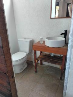 Cafe Maya - Casa Acalli - 2