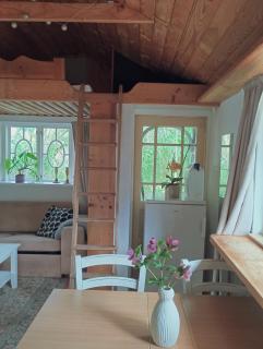 Cozy Cabin near Balka Beach with outdoor toilet and kitchen - 9
