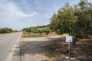 ELION - Ionian Olive House - Sea View - 2