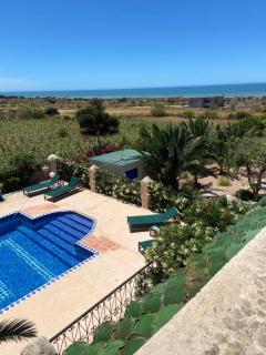 Suite majorelle - 2