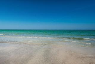 Peaceful Beachfront 30' Deck with Sweeping Views - 1
