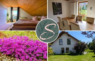 Schwarzwald Ferienhaus Strauch - 0