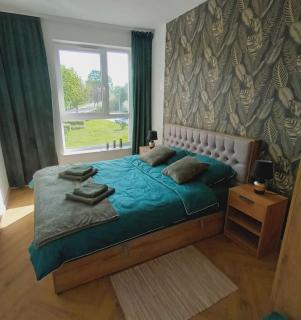 Zielony Apartament - 1