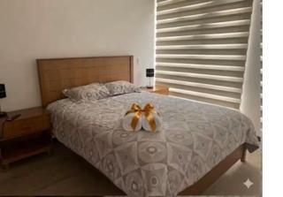 Hermosa y acogedora suite en la ciudad de Cuenca - 6