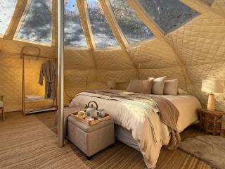Forest Hillside Glamping Retreat - 9