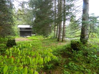 Haus Winterstaude - 1