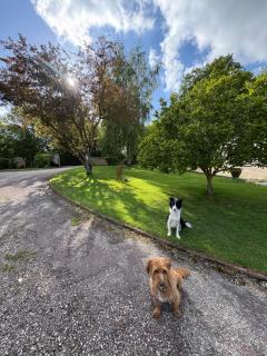 Le Cottage - 1