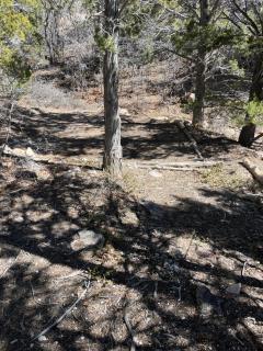 Bear Hollow - 6