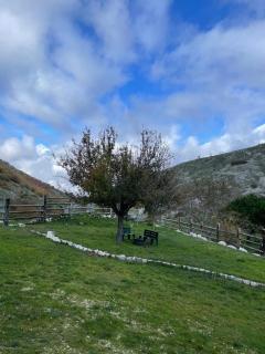 Noce Melano - 4
