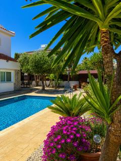 Unique Beach Luxurious Villas - 6
