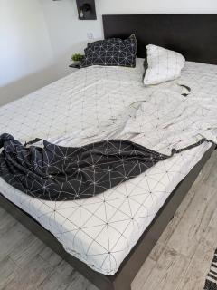 Stilvolles Apartment in Herzen von Berlin-Mitte - 1