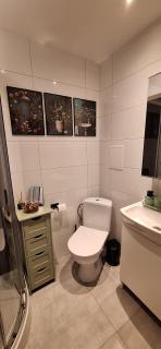 Zielone Okno Apartament w Augustowie blisko jeziora i centrum - 2