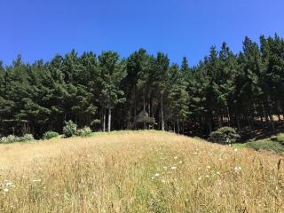 Raglan Tree House in the Woods with Outdoor Bath - 6
