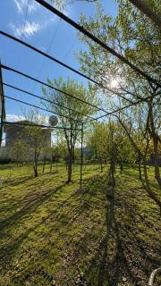 Zaqatala Garden House - 9