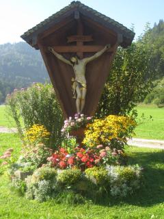 Biobauernhof Hauserbauer - Hintersee - 8