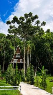 Cabana Recanto da Araucária - 9