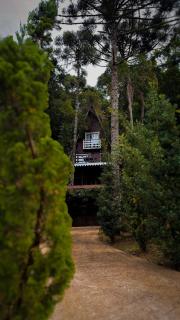Cabana Recanto da Araucária - 8