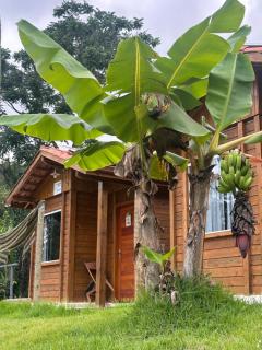Pousada Hostels Foryou - 8