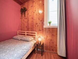 Large Antwerp City Center Apartments 3BB NS - 4