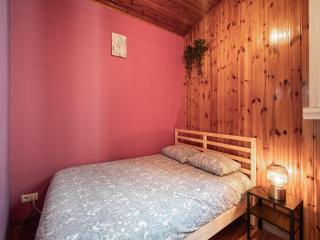 Large Antwerp City Center Apartments 3BB NS - 3