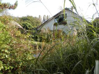 Ferienwohnung Nessler - 2