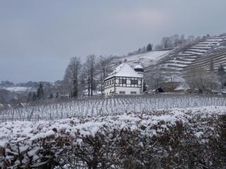 Ferienwohnung Nessler - Radebeul - 3