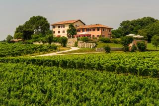 Country House Giusti Abazia - Nervesa della Battaglia - 8