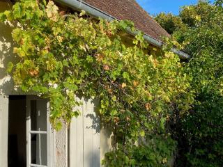 La maison de Jeanne - 2