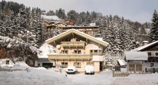 Appartementhaus Karin - Viehhofen - 4