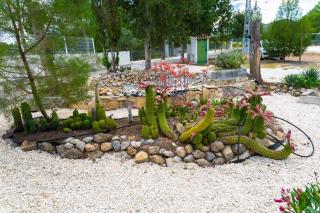 Cortijo Cristea - 3