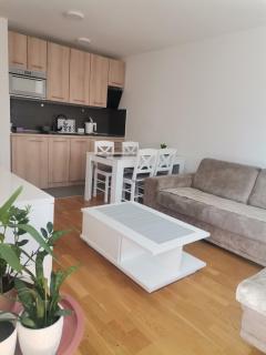 MDM Apartman Vrnjačka Banja - Vrnjačka Banja - 1