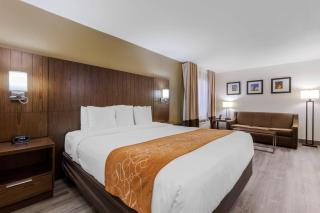 Comfort Suites Tucson near Sabino Canyon - 7