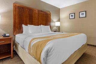 Quality Inn Dover - 4
