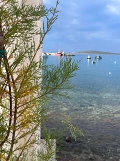 TheSeaTree Apartment Aliki Paros - 4