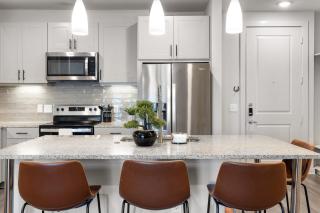 Luxury 2-BR with Juliet Balcony - Austin - 2
