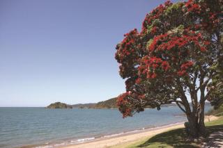 2 Bedroom Beach Front at Sea Spray Suites - 8
