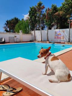Aloha Village - Bed&Pet - Messina - 6