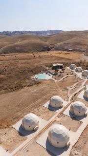 Dawar - 2
