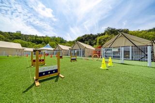 Cheongdo Shinnanda Aegyeon Glamping - 7