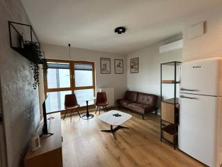 Rakowicka Suite - Balcony & Air Conditioning by Downtown Apartments - 6